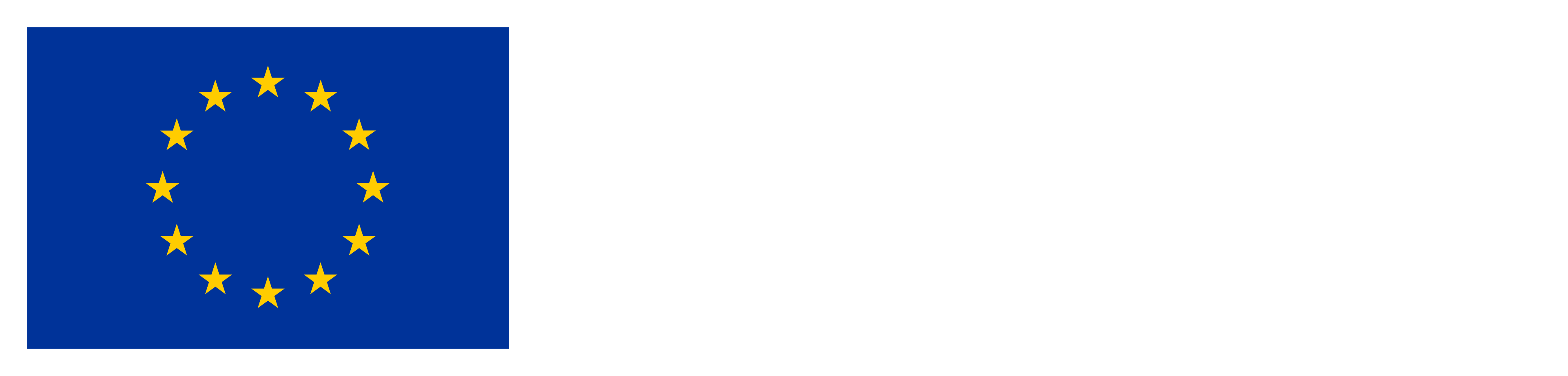 Finanziato dall'Unione Europea